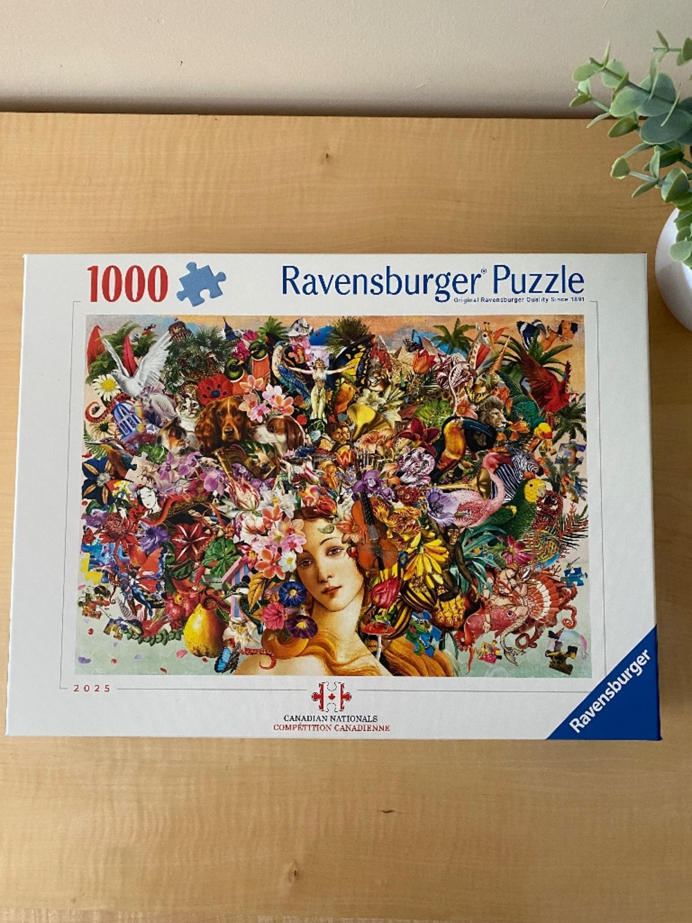 CANADIAN NATIONALS PUZZLE - 1000 PIECES